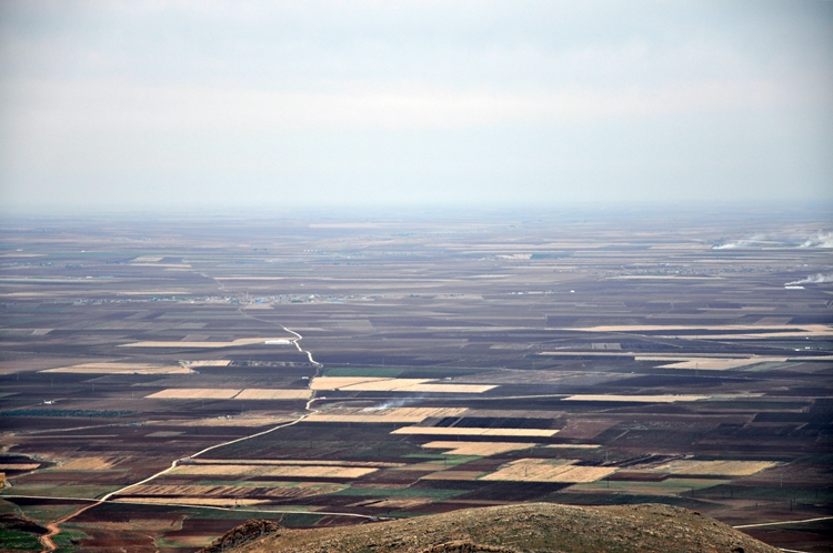 mardin